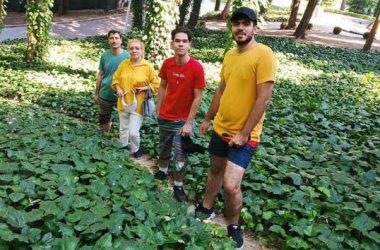 Manifestations en Iran : le sang versé raconte l’impitoyable carnage commis